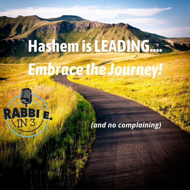 Artwork for podcast Rabbi E in 3