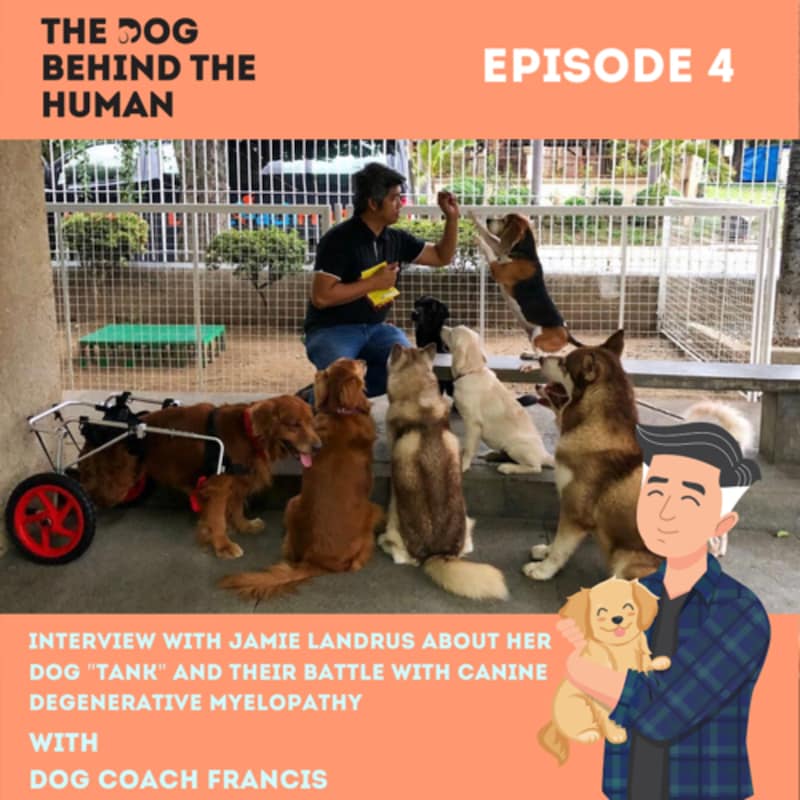 Artwork for podcast The Dog Behind The Human