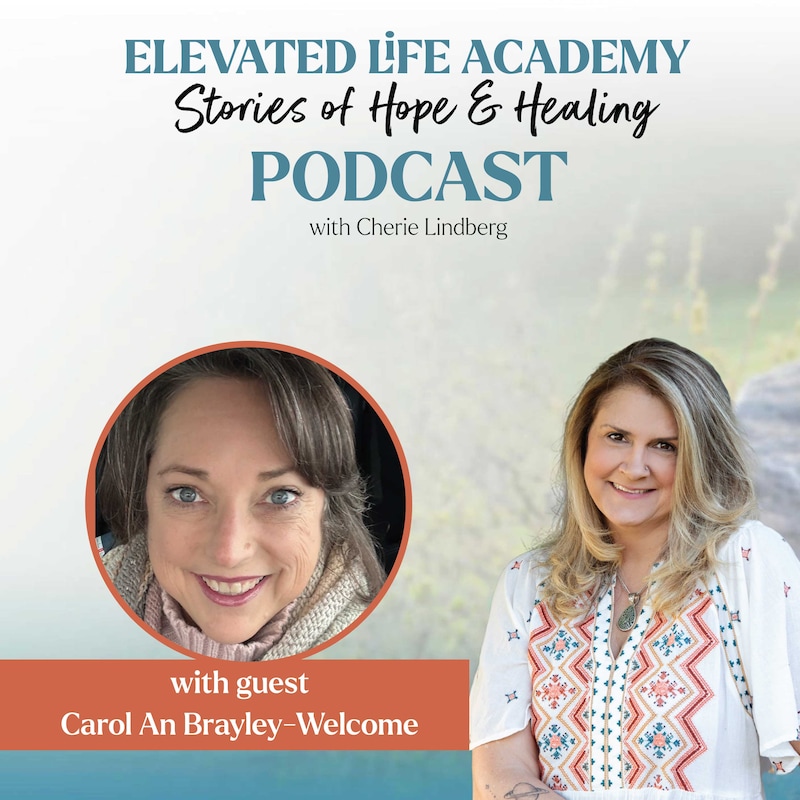 Artwork for podcast Elevated Life Academy