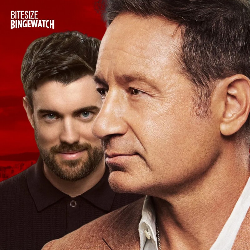 Artwork for podcast Bitesize Bingewatch