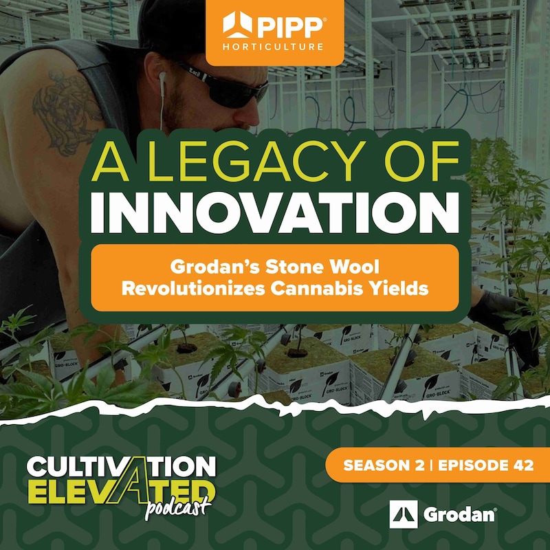 Artwork for podcast Cultivation Elevated - Indoor Farming, Cannabis Growers & Cultivators - Pipp Horticulture