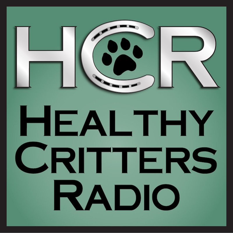 Artwork for podcast Horse Radio Network All Shows Feed
