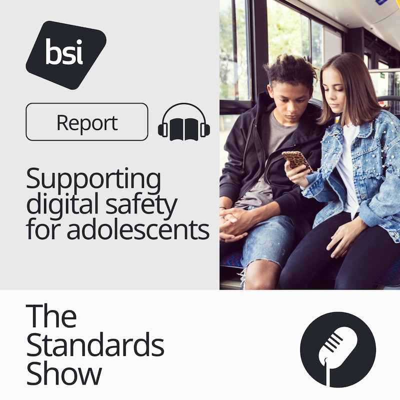 Artwork for podcast The Standards Show
