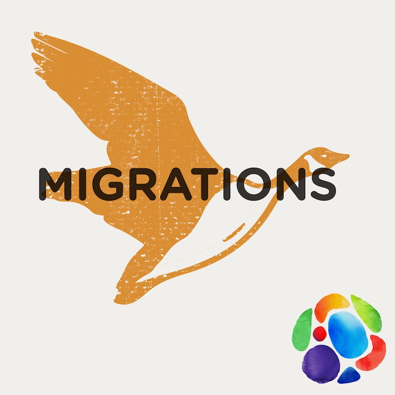 Artwork for podcast Migrations d'oiseaux