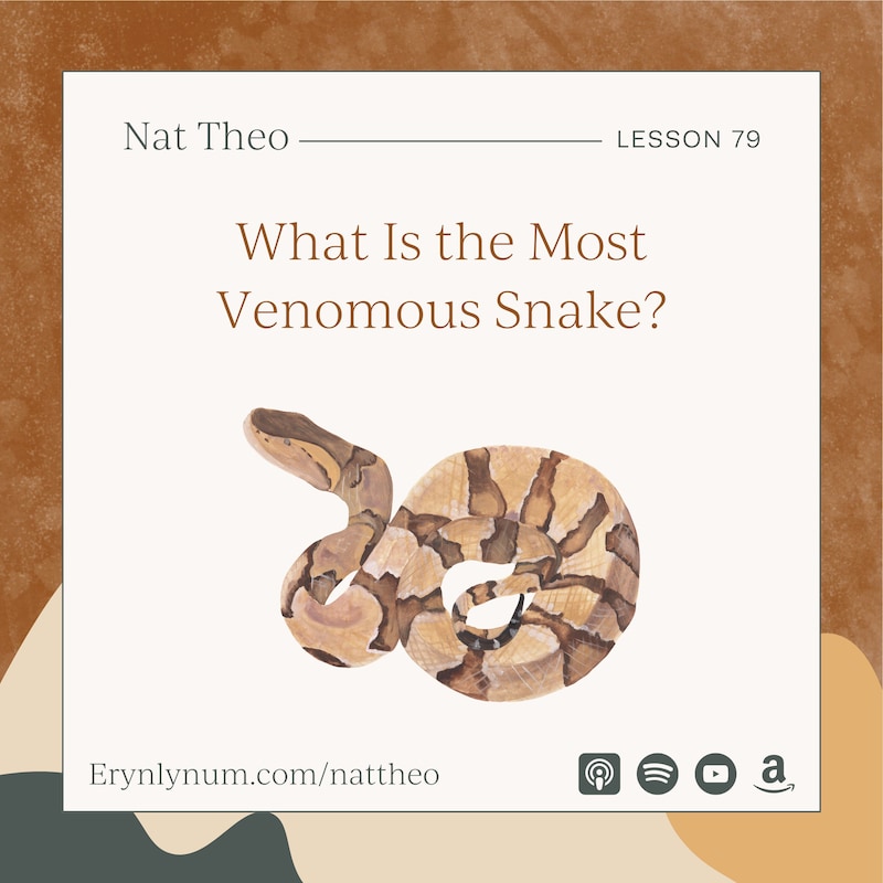 Artwork for podcast Nat Theo Nature Lessons Rooted in the Bible