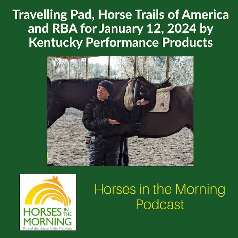 Artwork for podcast HORSES IN THE MORNING