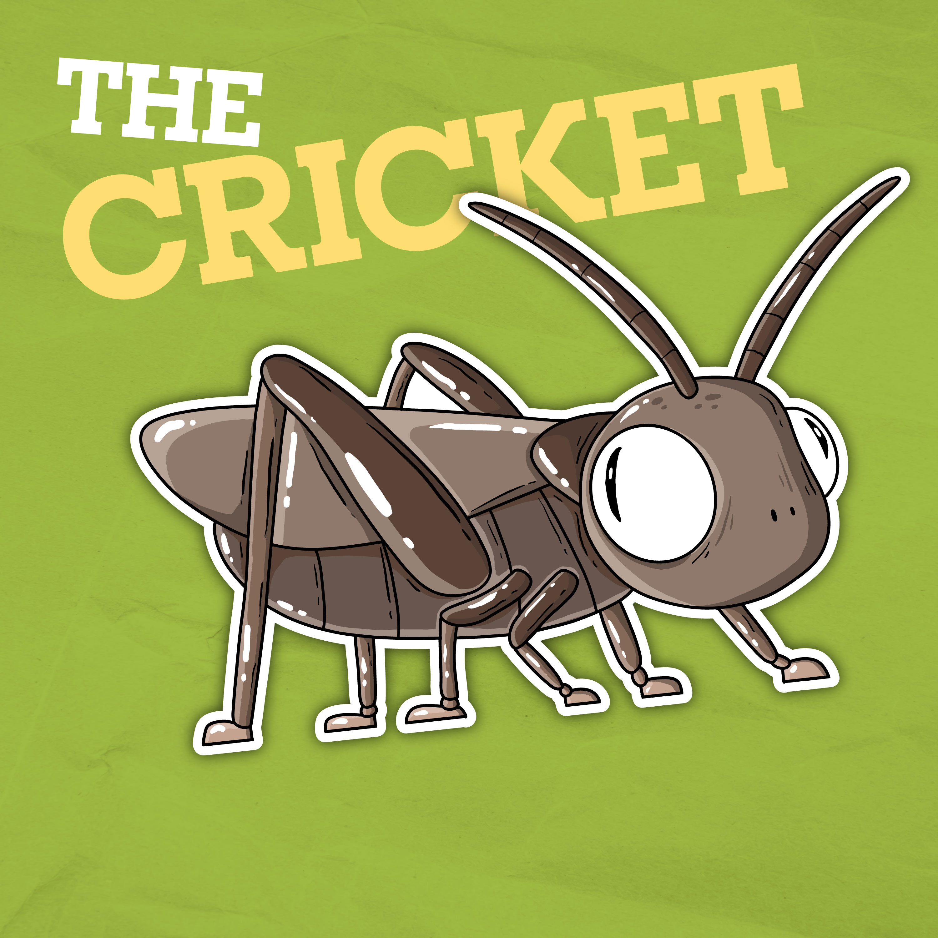 Where Are Crickets' Ears Located?