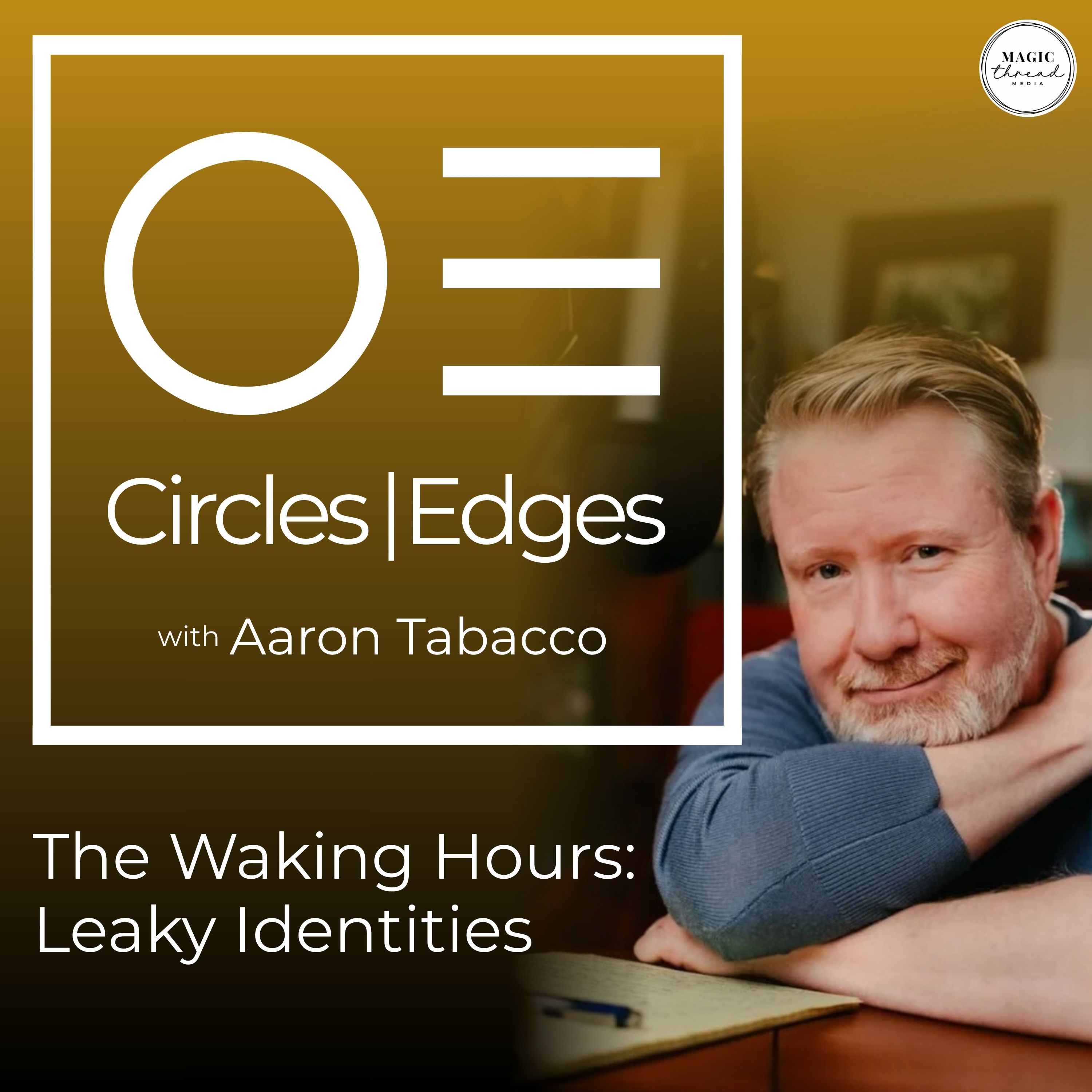 The Waking Hours: Leaky Identities | 007 episode artwork