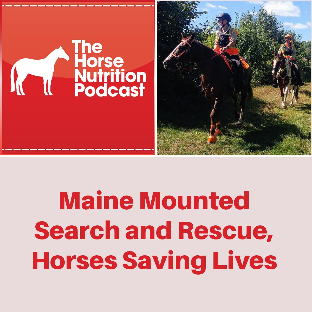 Maine Mounted Search and Rescue, Horses Saving Lives