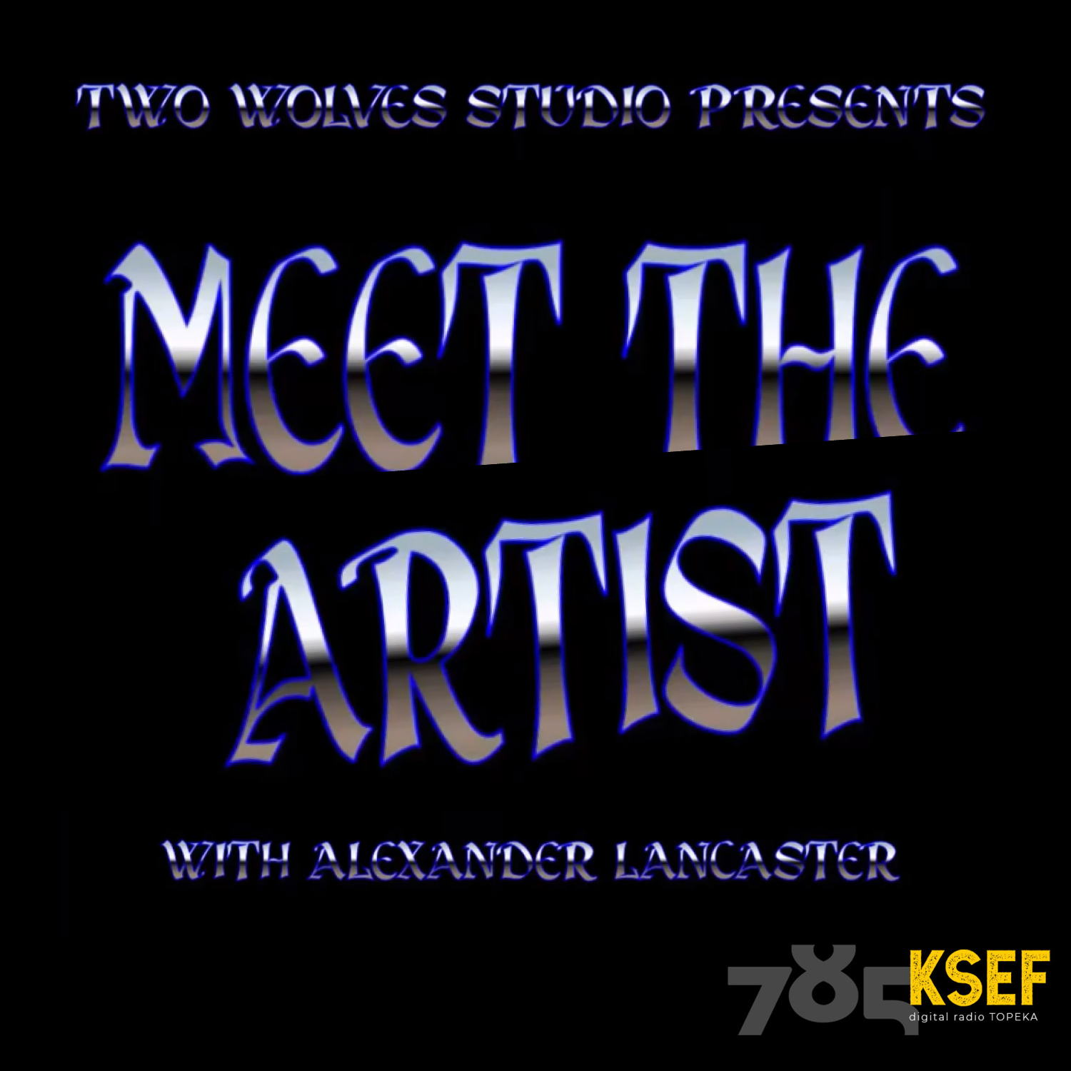 Artwork for podcast Meet The Artist