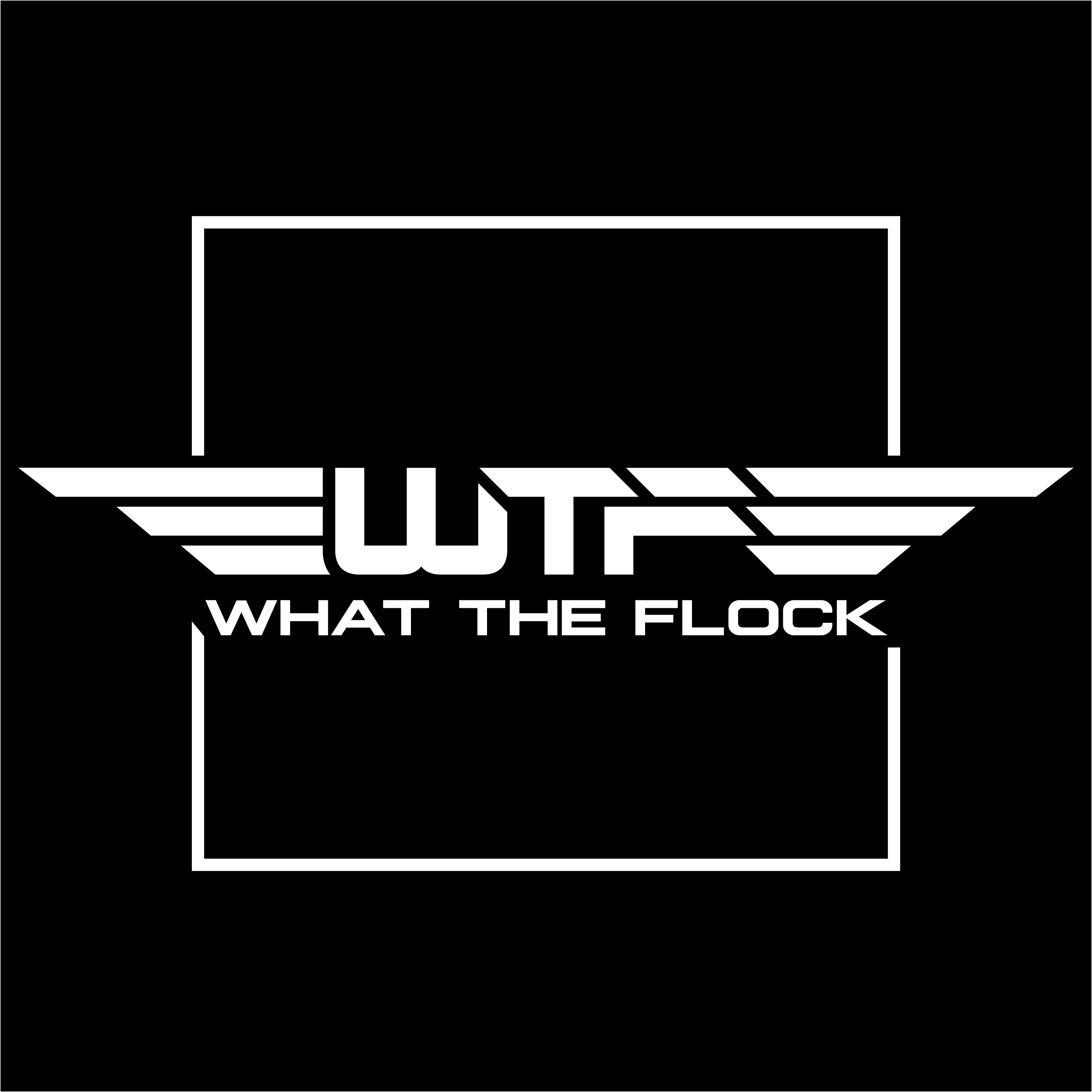 Artwork for What The Flock