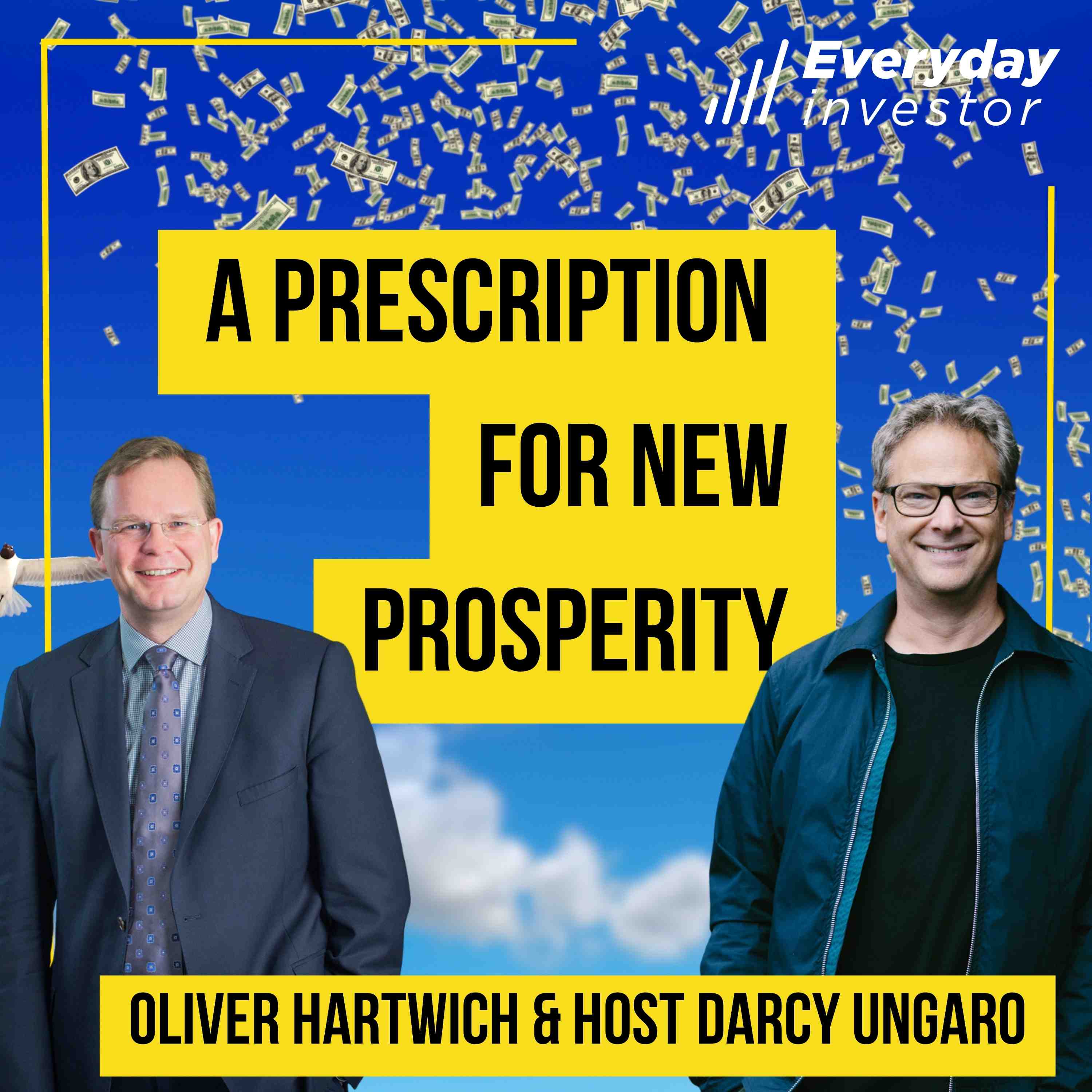 NZ Everyday Investor