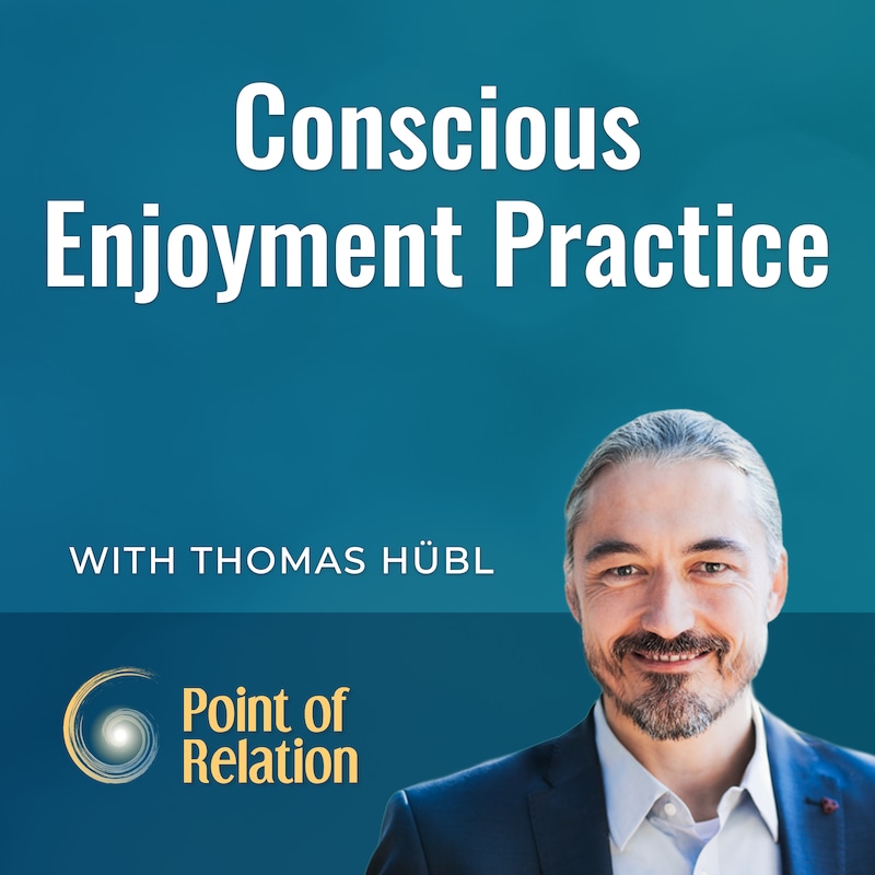 Artwork for podcast Point of Relation with Thomas Huebl