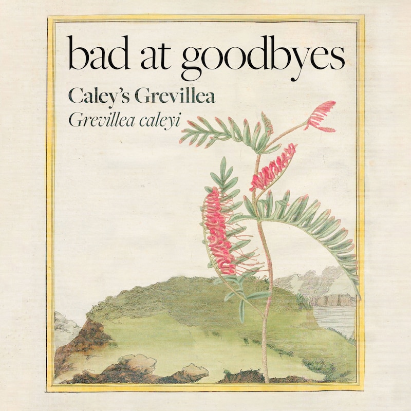 Artwork for podcast Bad at Goodbyes