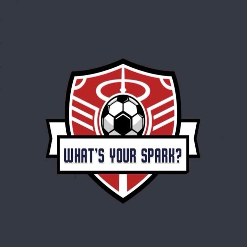 Artwork for podcast What's your Spark?