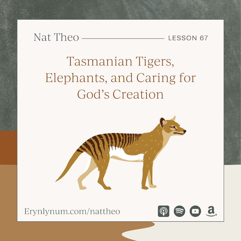 Artwork for podcast Nat Theo Nature Lessons Rooted in the Bible