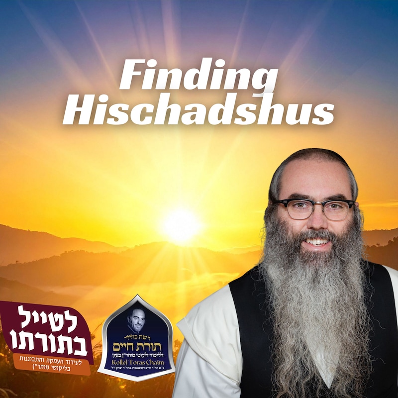 Artwork for podcast Kollel Toras Chaim All Shiurim