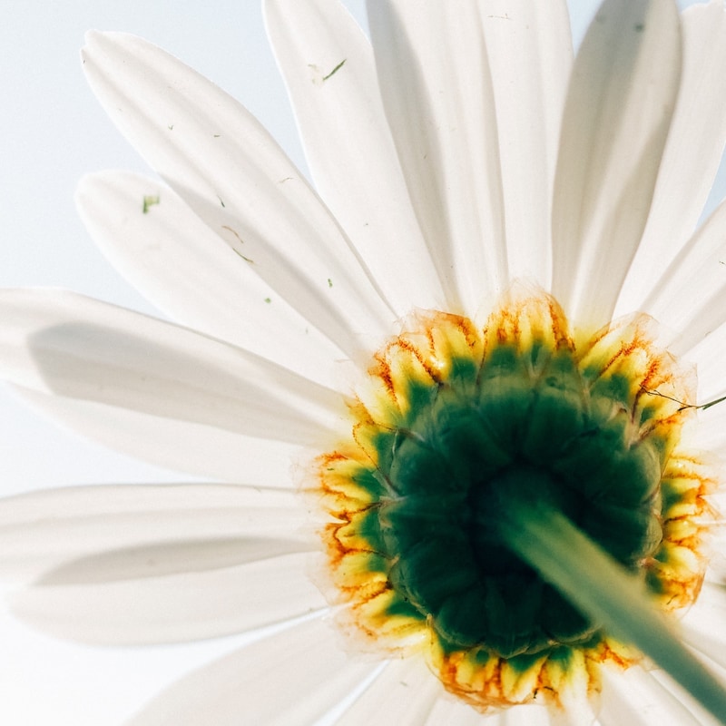 Artwork for podcast Naukowo