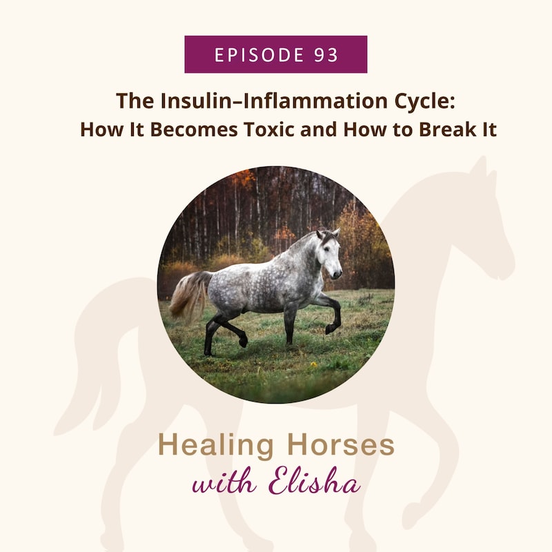Artwork for podcast Healing Horses with Elisha