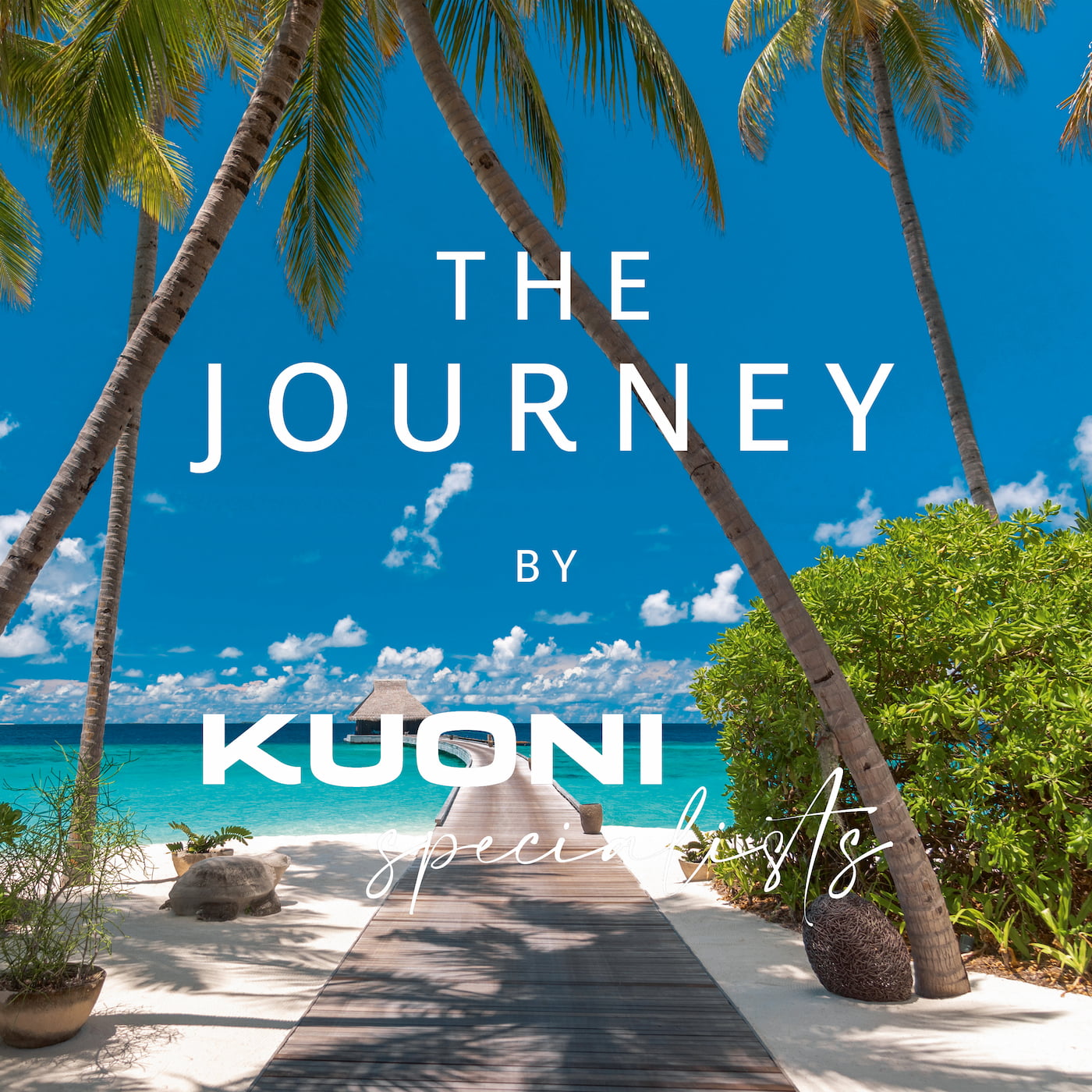 The Journey