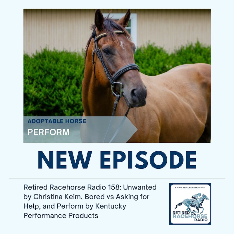 Artwork for podcast Retired Racehorse Radio