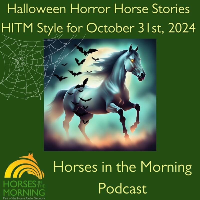 Artwork for podcast Horses in the Morning