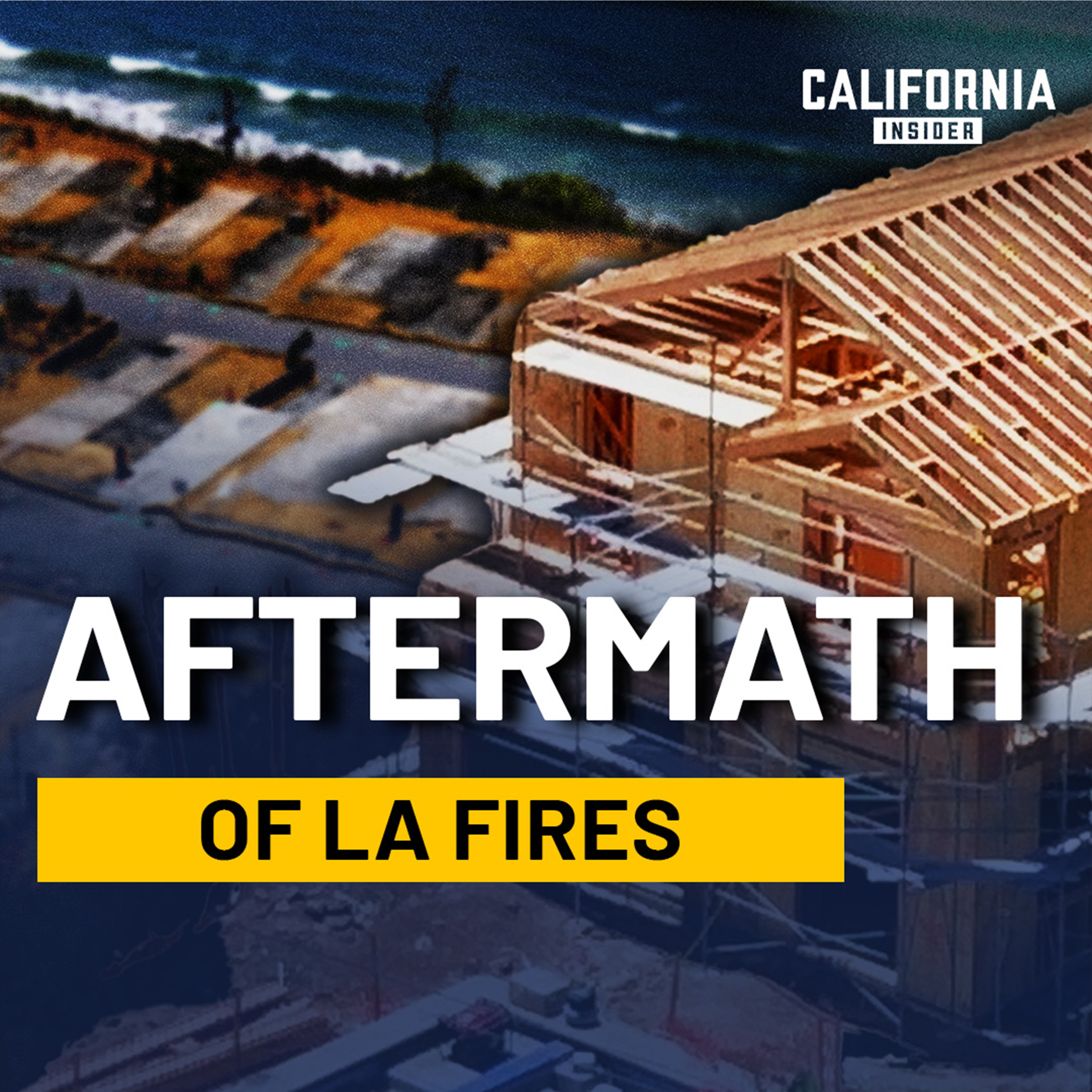 What’s Stopping Thousands From Rebuilding After the LA Fires | Panel