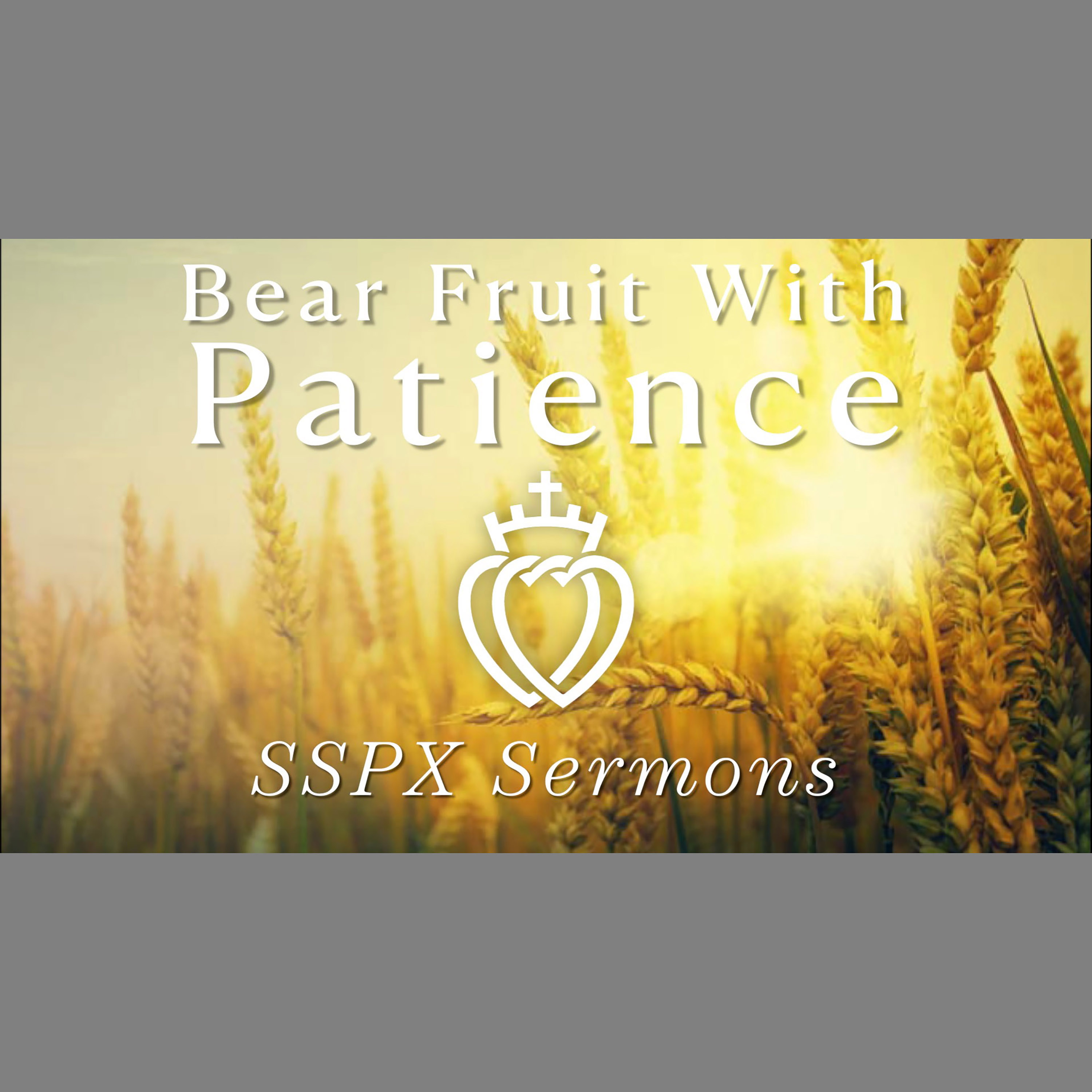 Bear Fruit With Patience - SSPX Sermons