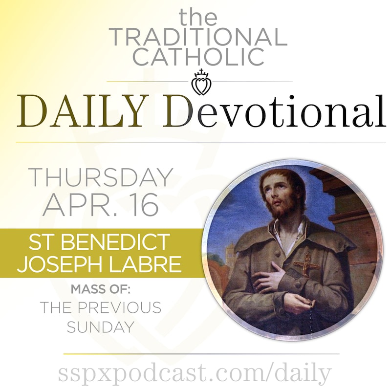 Artwork for podcast Traditional Catholic Daily Devotional