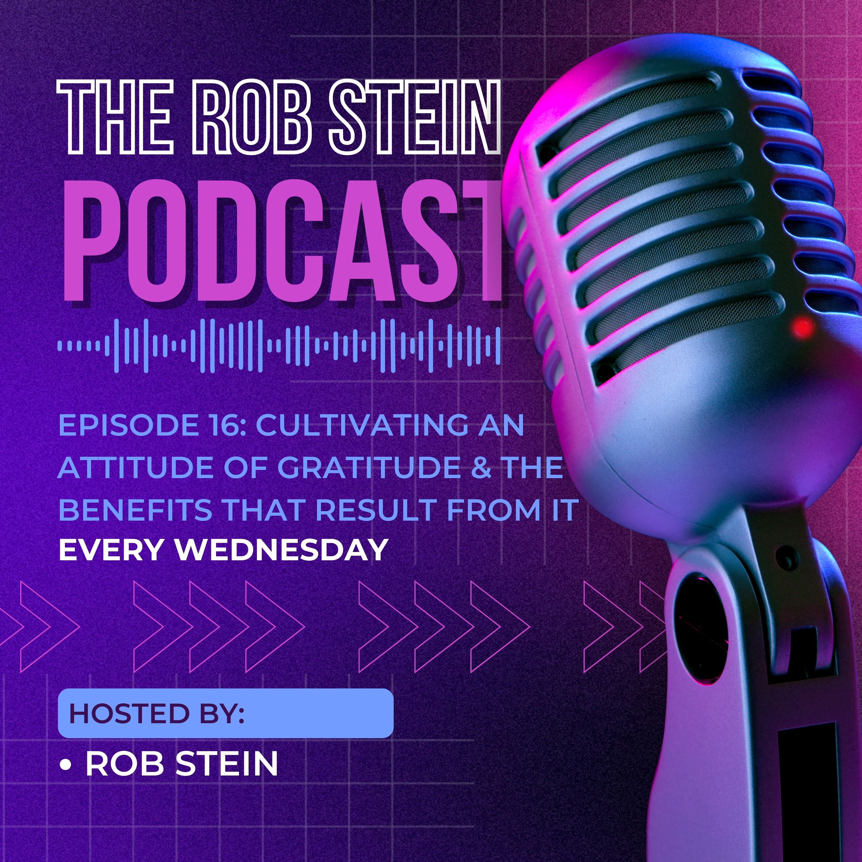 Elevate YOUniversity Podcast with Rob Stein