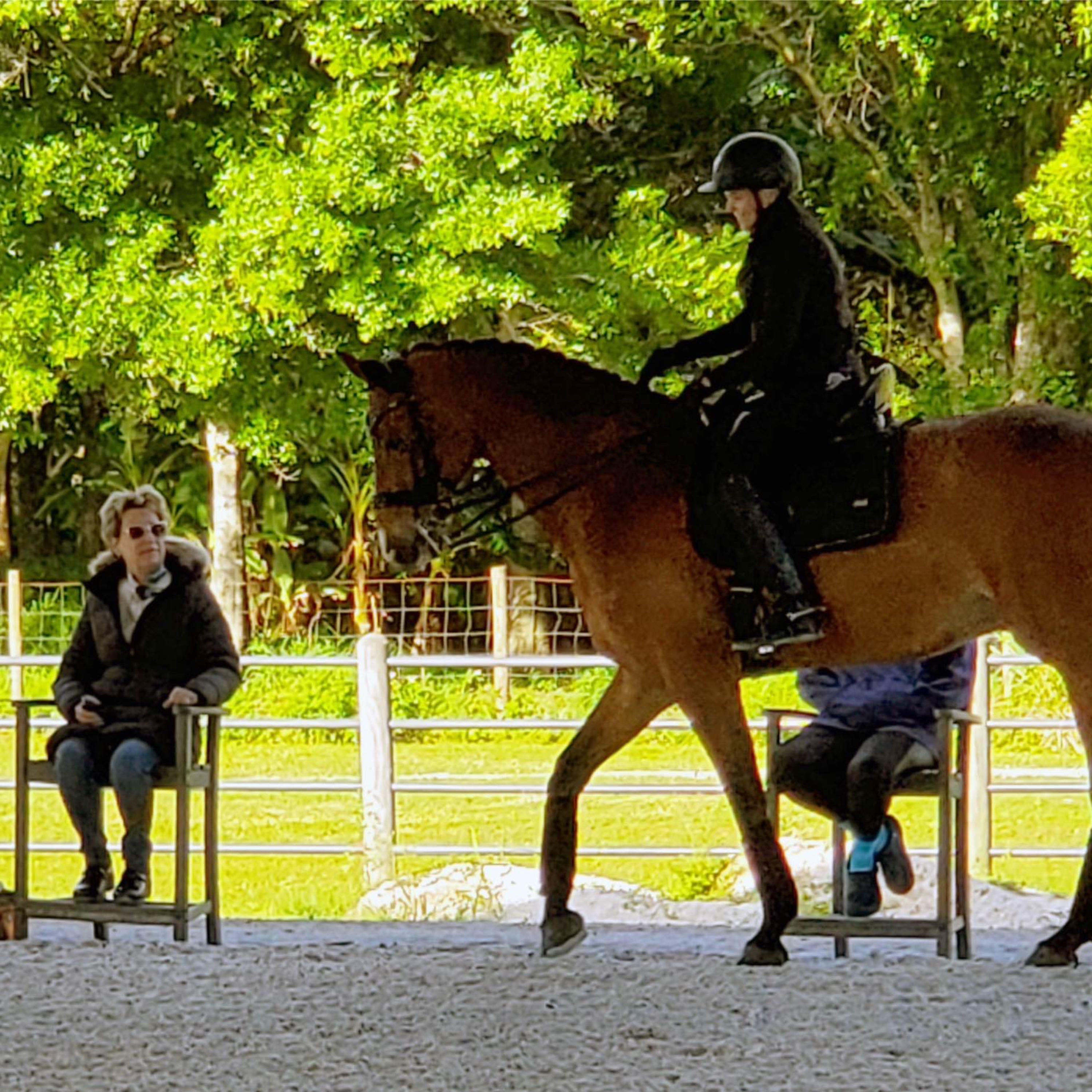 Dressage Today Podcast