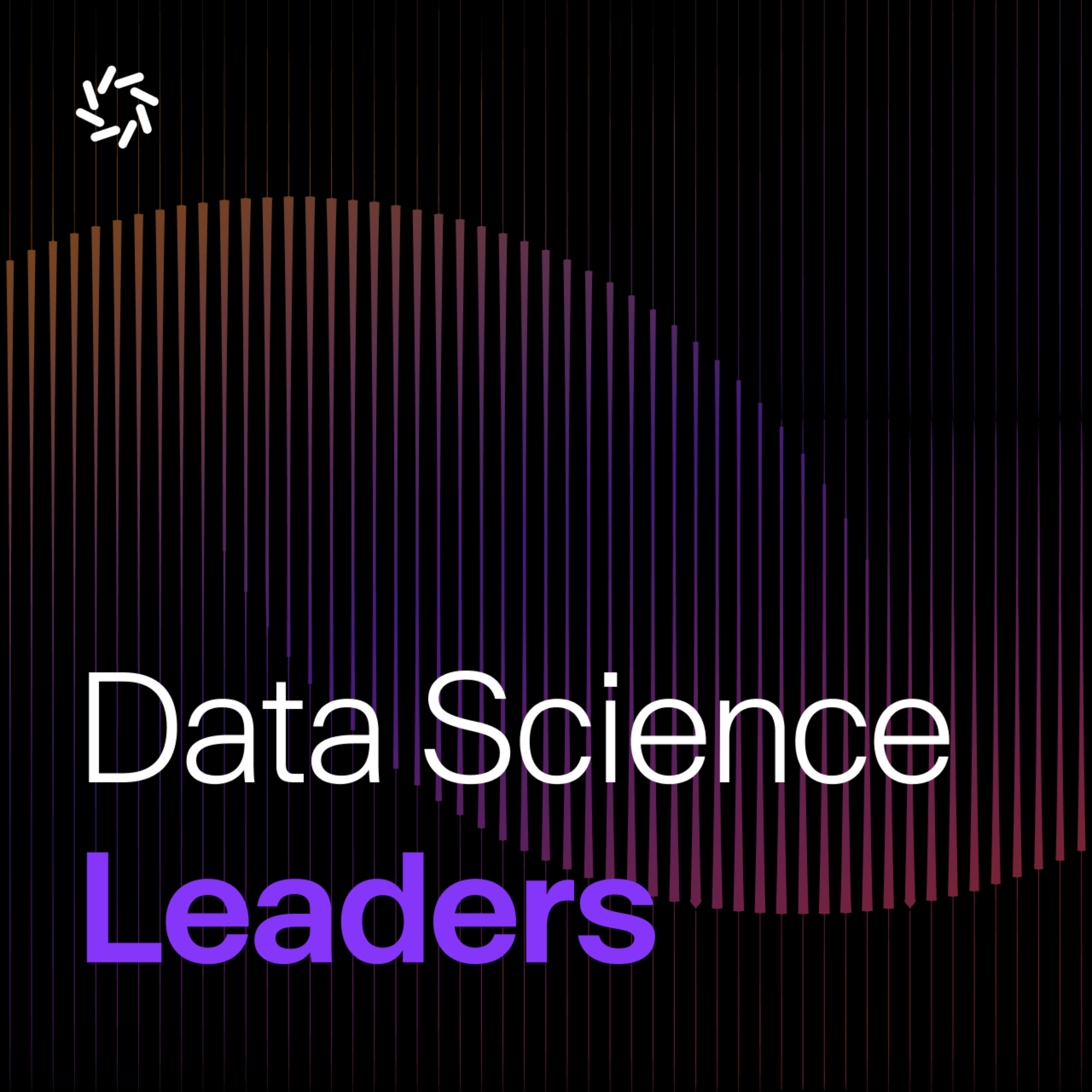 Artwork for Data Science Leaders