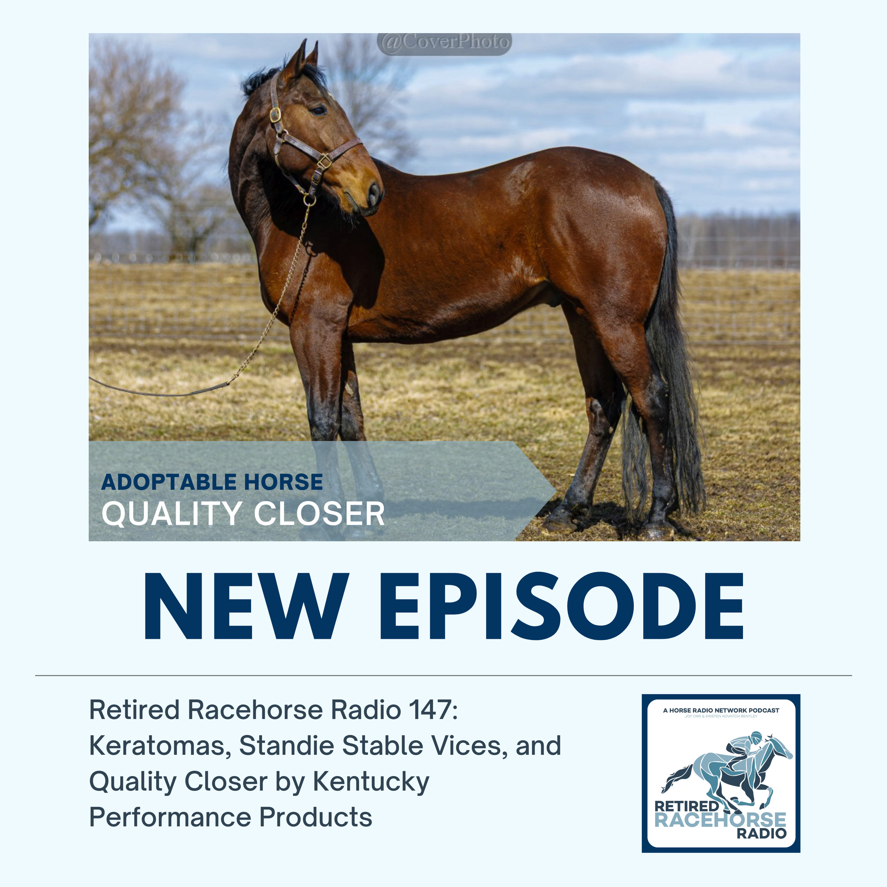 Horse Radio Network All Shows Feed