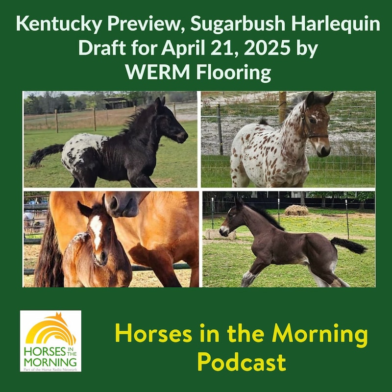 Artwork for podcast Horses in the Morning