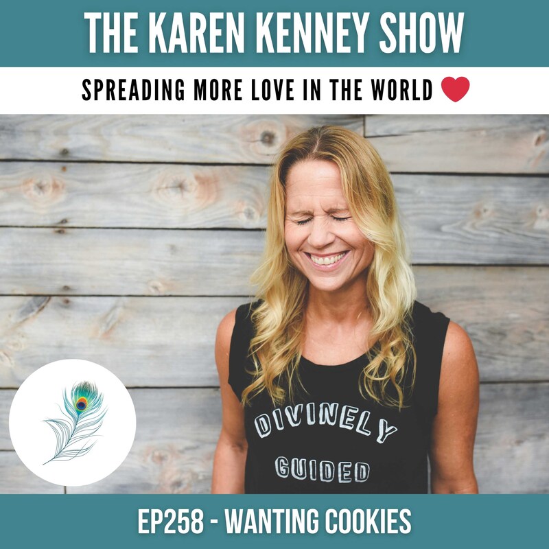 Artwork for podcast The Karen Kenney Show