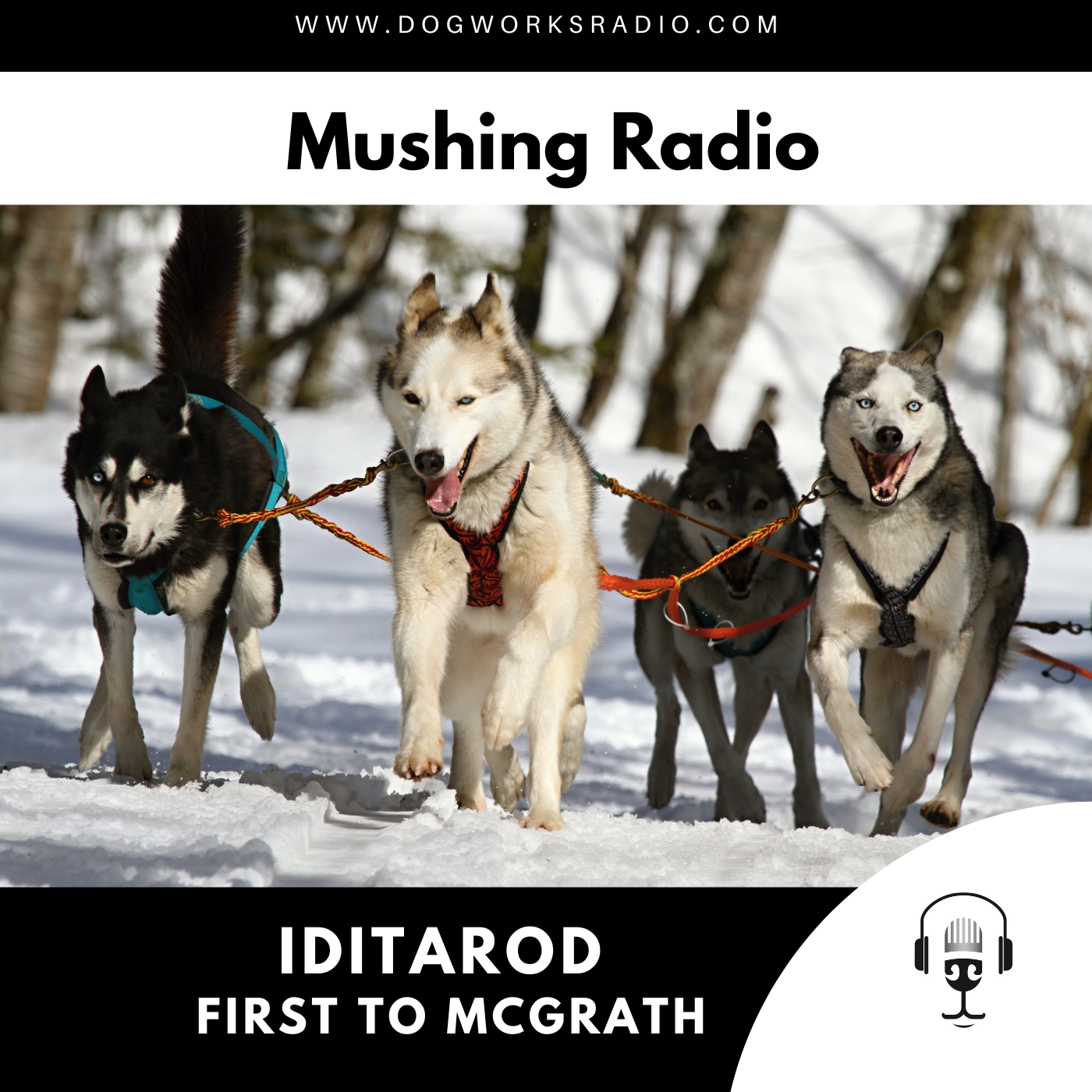 The First to McGrath | Iditarod 2023
