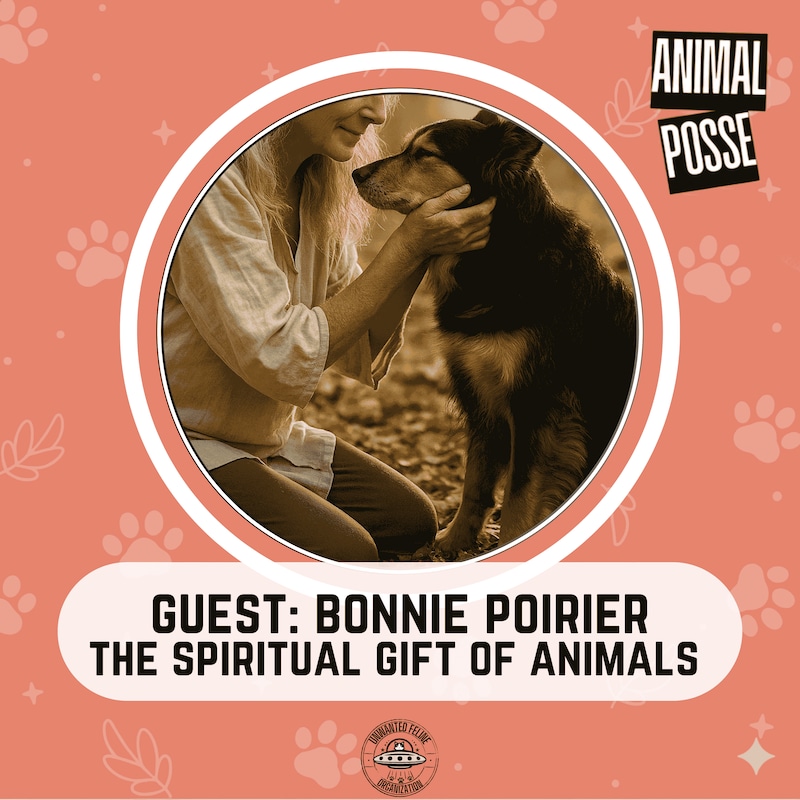 Artwork for podcast Animal Posse
