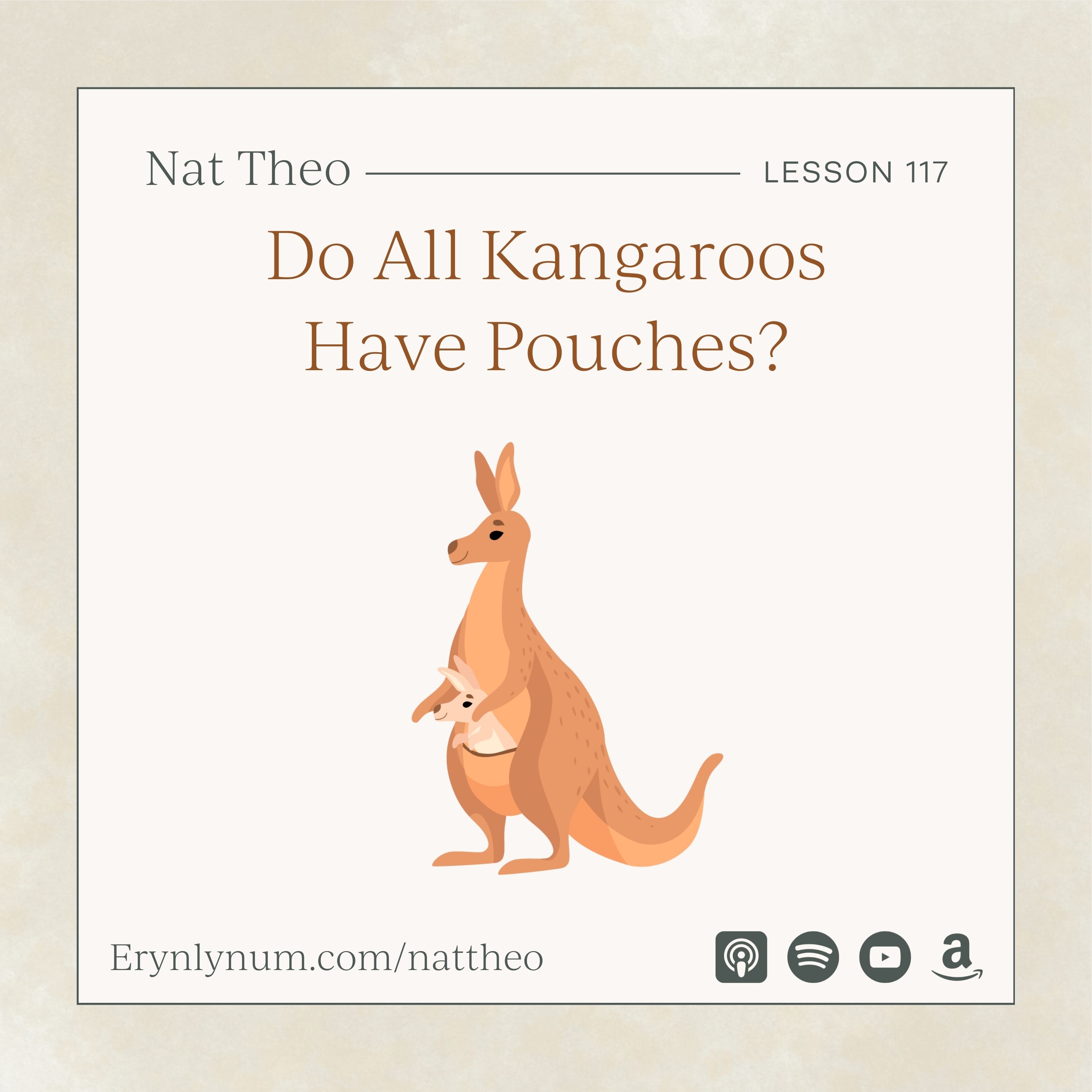 Do All Kangaroos Have Pouches? Lesson 117