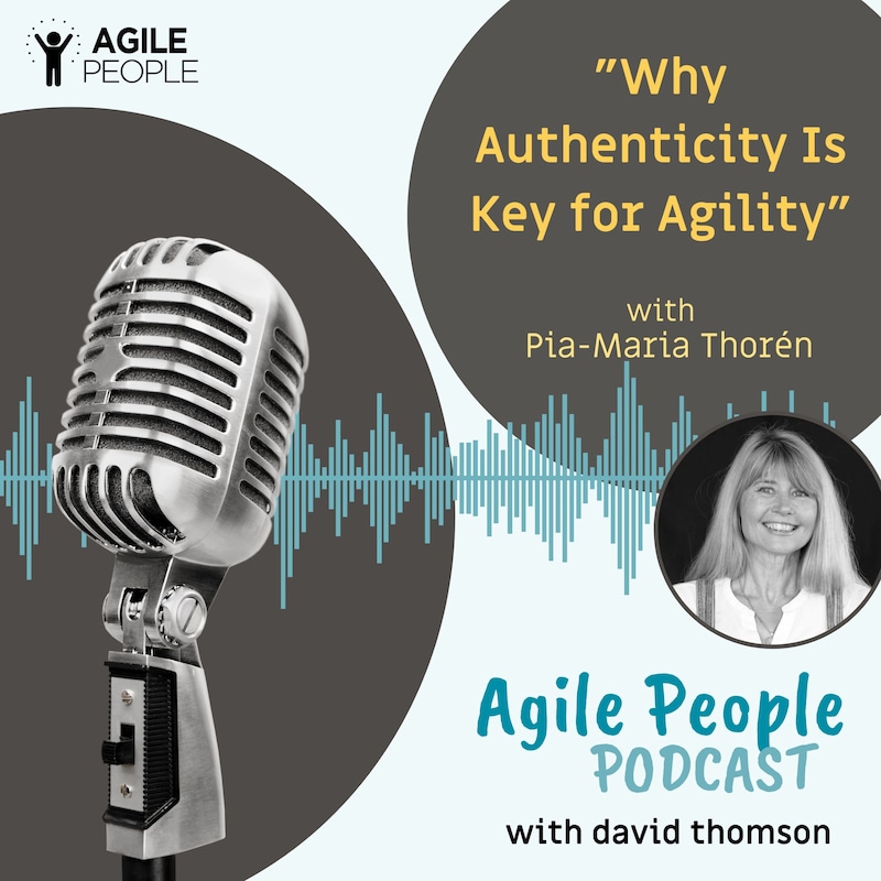 Artwork for podcast Agile People