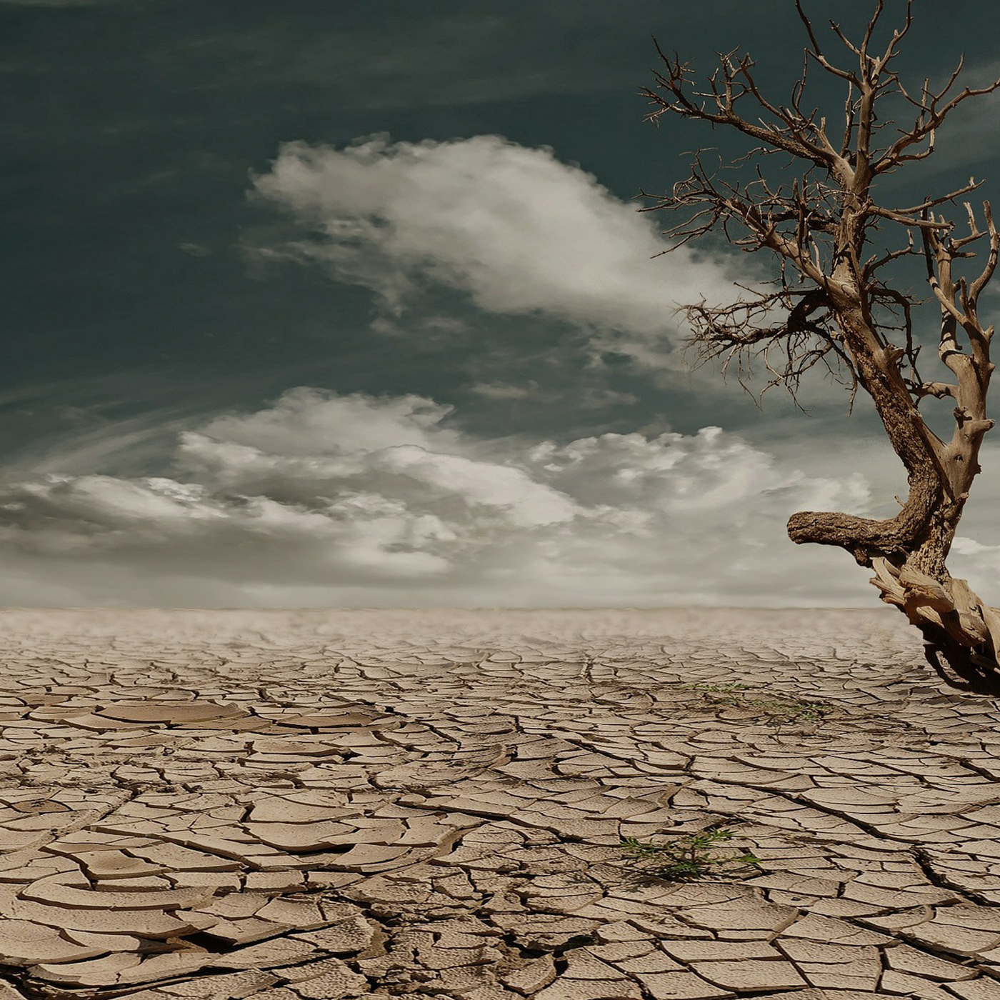 Ep. 78: From Rock Bottom to Dream Life episode artwork