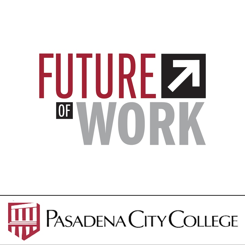 Artwork for podcast The Future Of Work