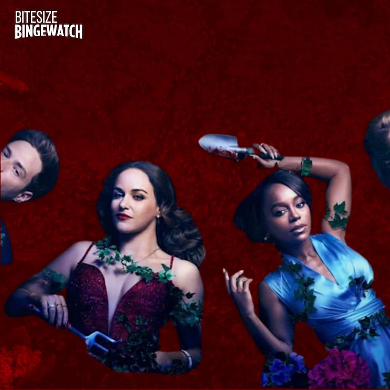Artwork for podcast Bitesize Bingewatch
