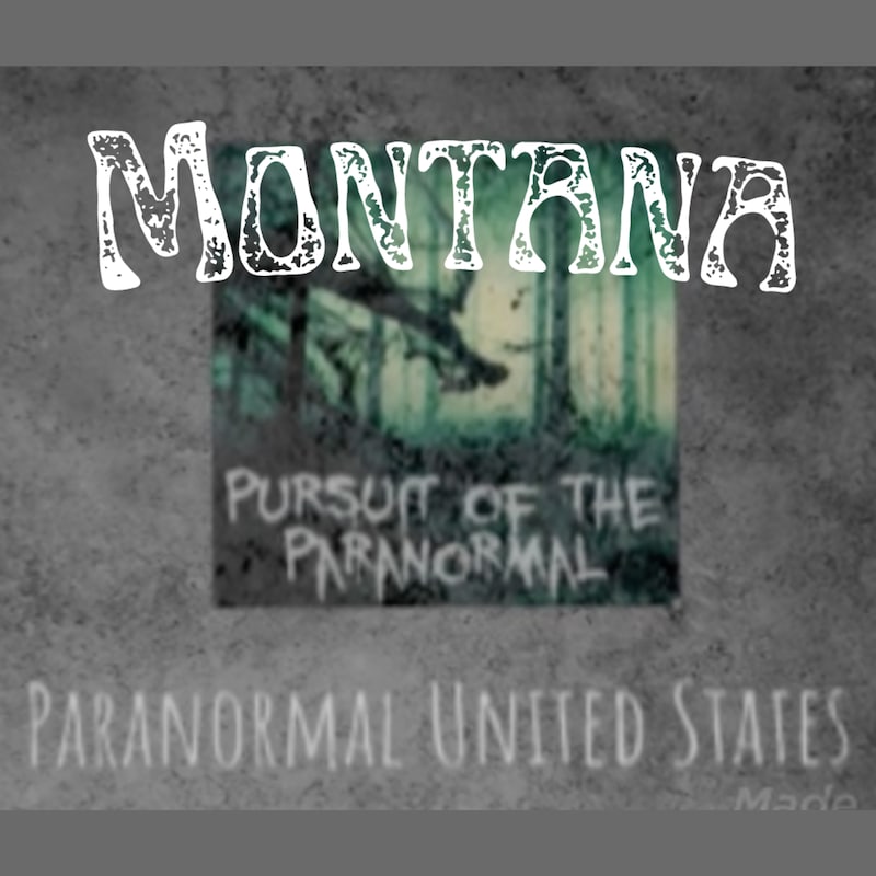 Artwork for podcast Pursuit of the Paranormal