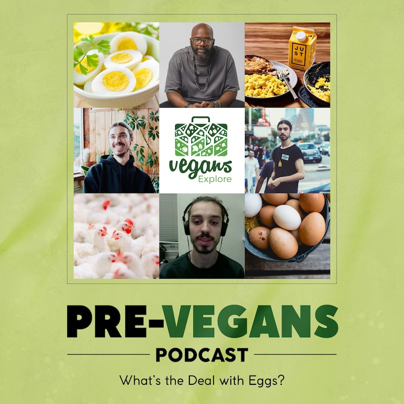 Artwork for podcast Pre-Vegans Podcast