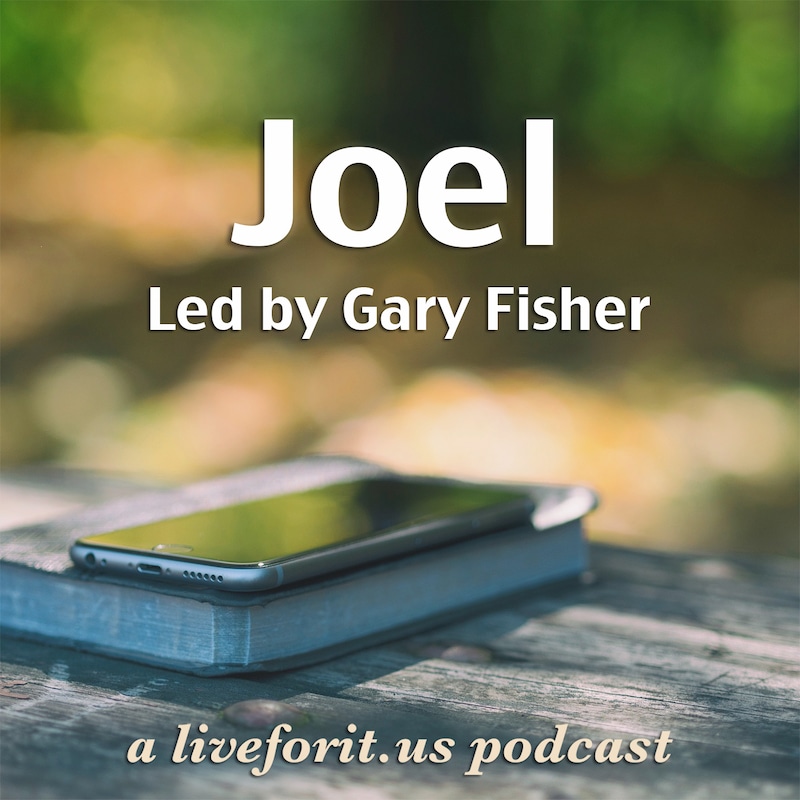 Artwork for podcast Liveforit Joel Study