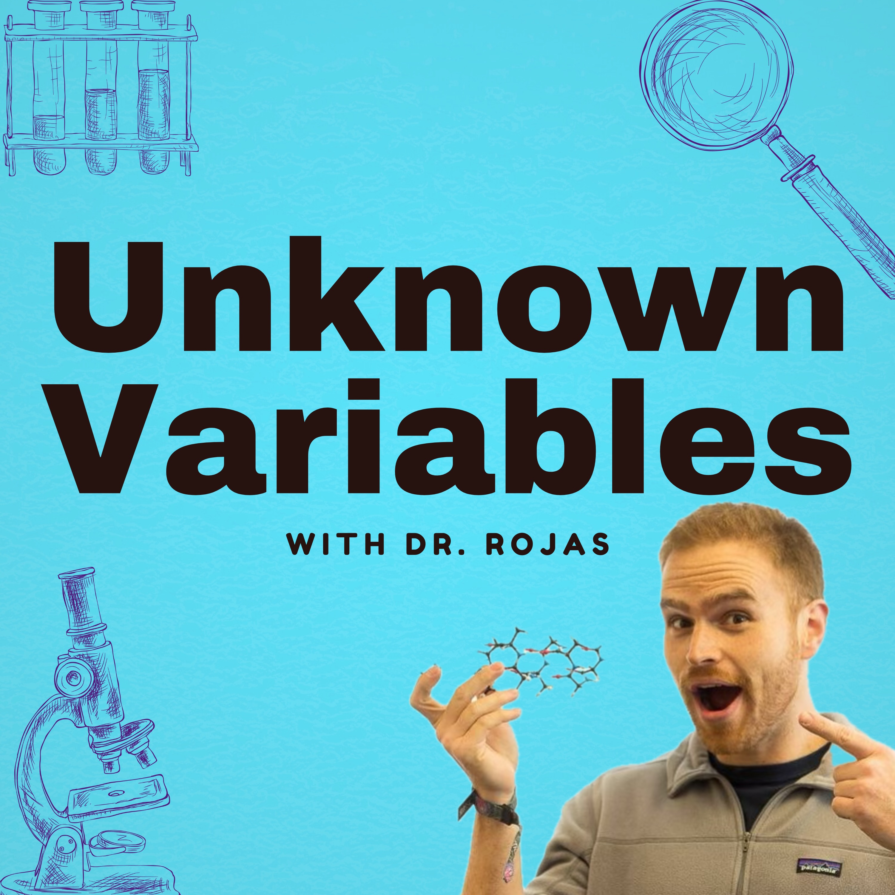 Show artwork for Unknown Variables