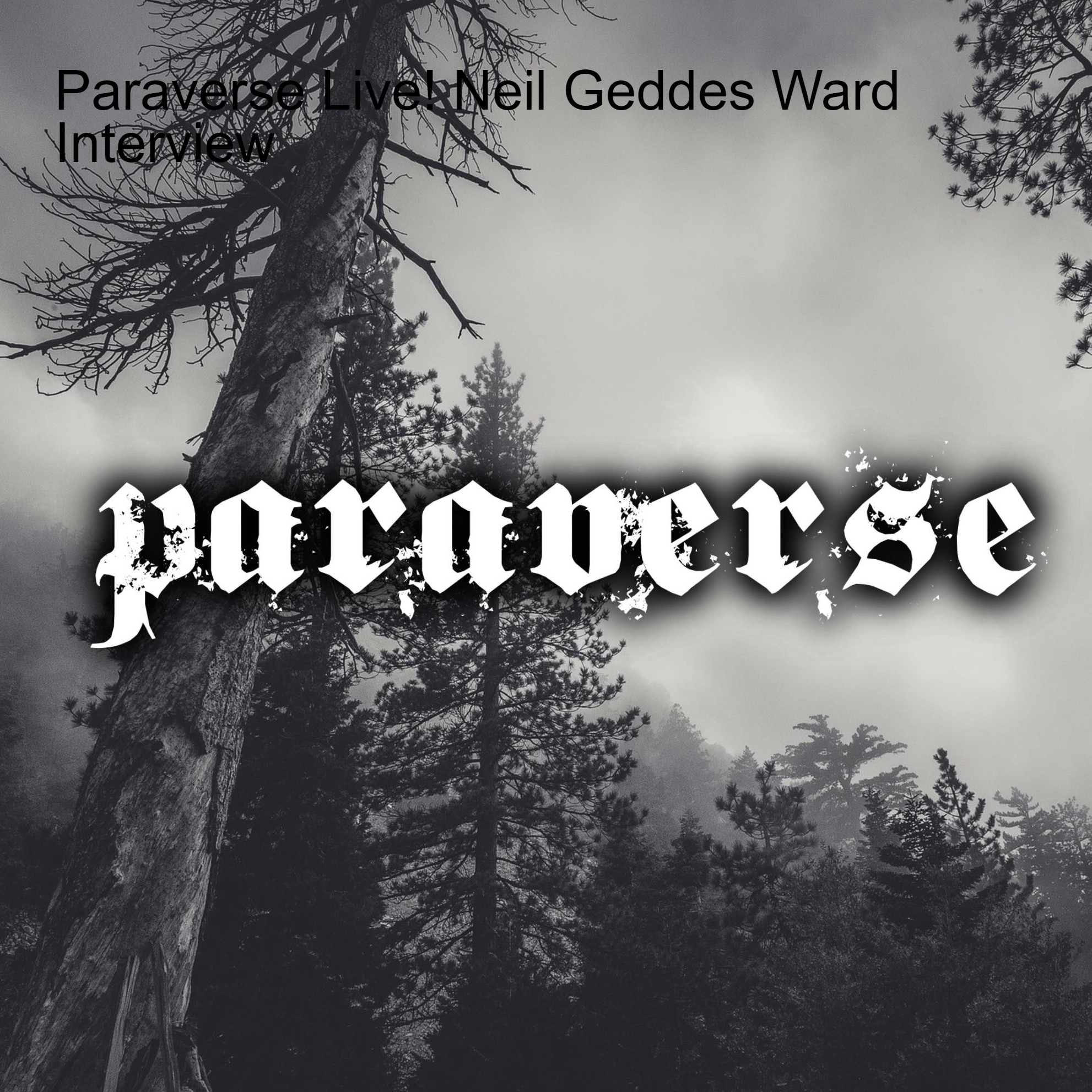 Paraverse - Live show and podcast series