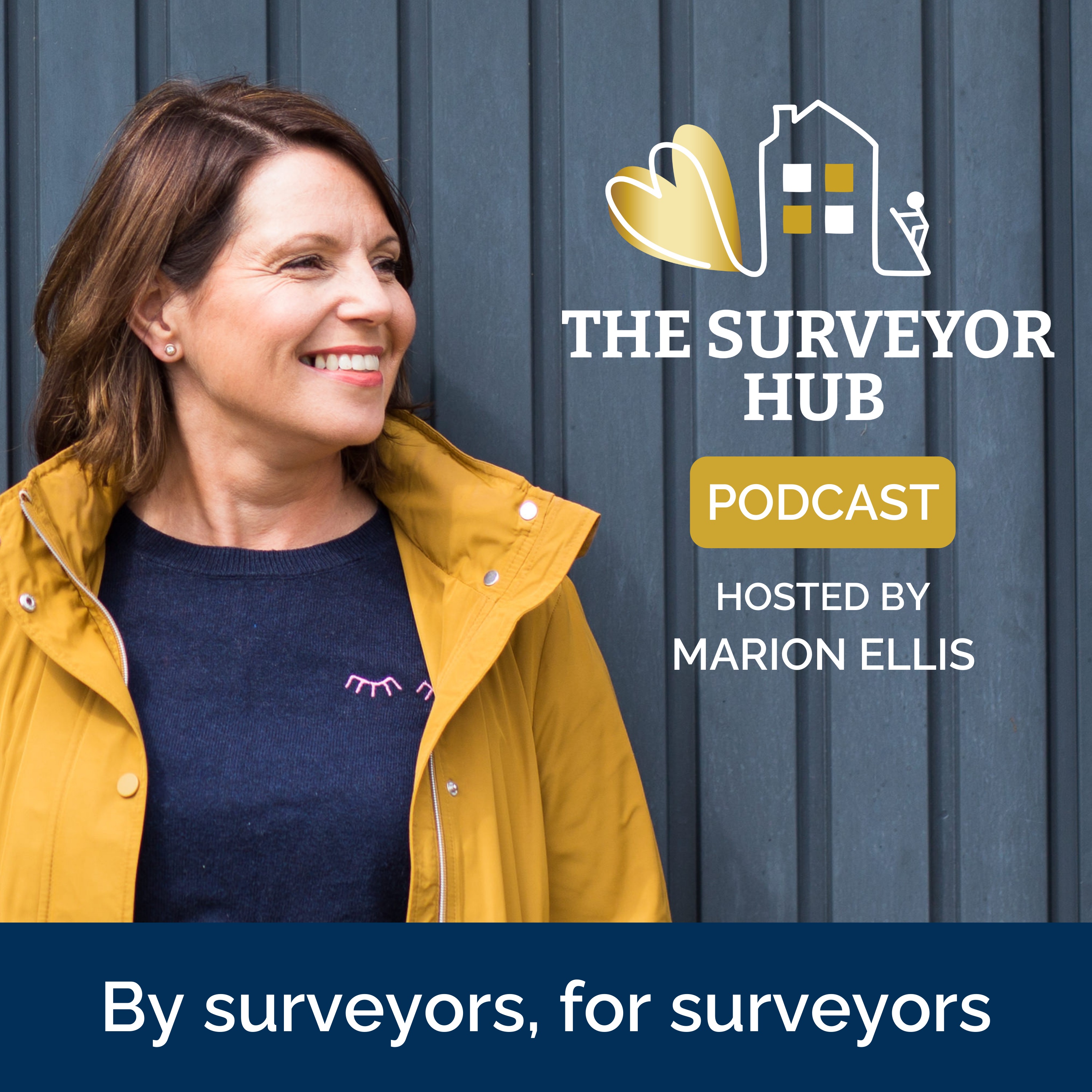 Artwork for podcast The Surveyor Hub Podcast