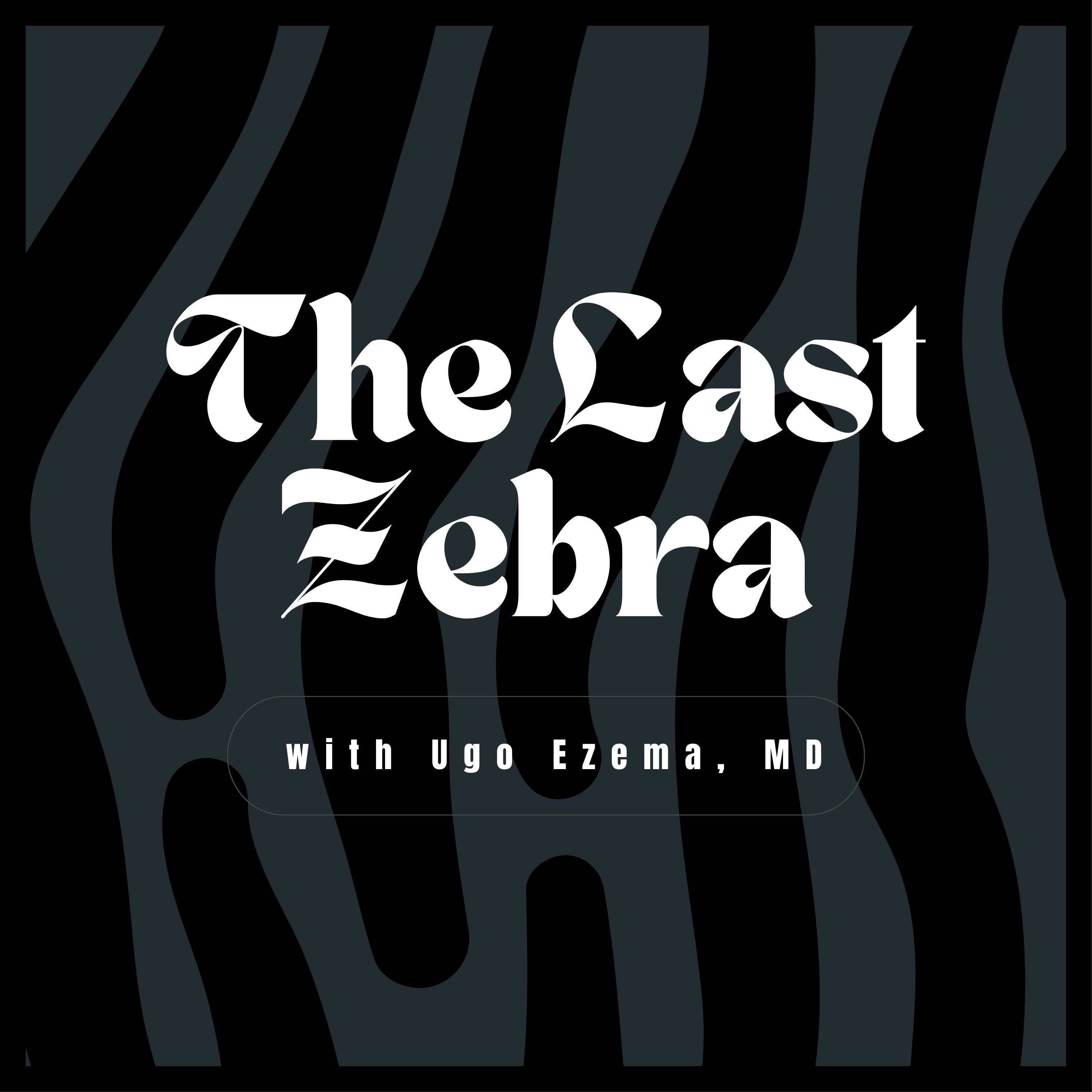Show artwork for The Last Zebra