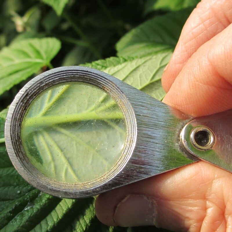 Artwork for podcast AHDB Food & Farming